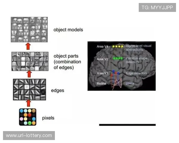 由于中枢决策系统接入深度学习 体育赛事管理在本阶段实现了风险预警